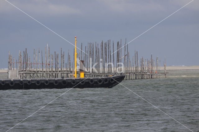 Waddenzee