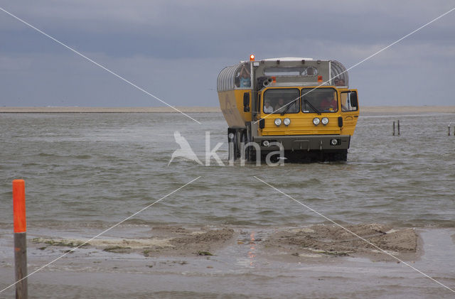 Waddenzee