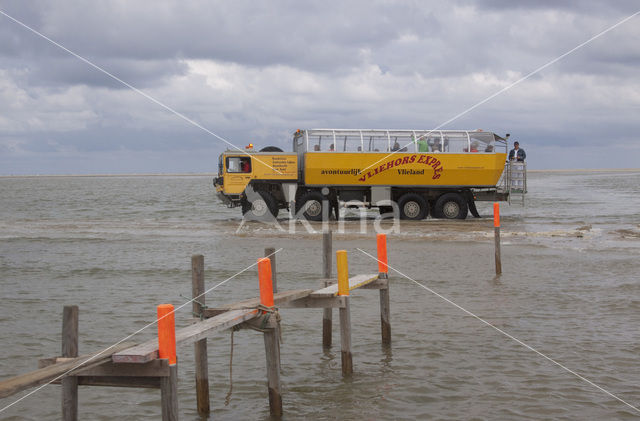 Waddensea