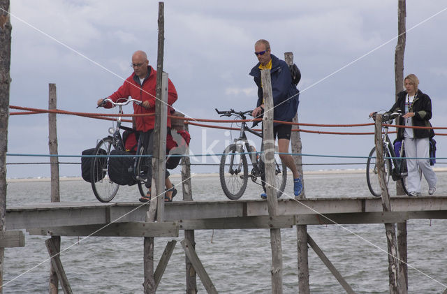 Waddensea