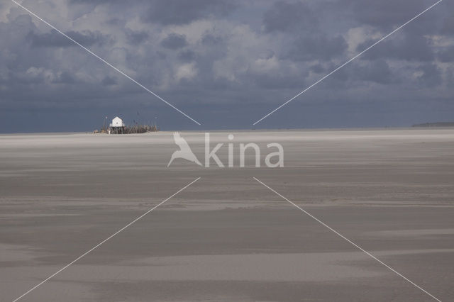 Waddensea