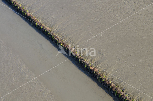 Waddenzee