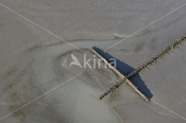 Waddenzee