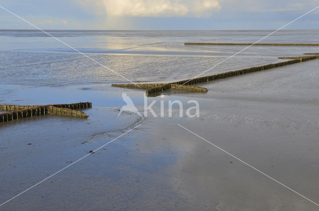 Waddenzee