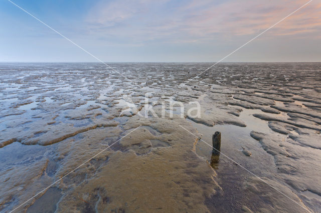 Wadden Sea