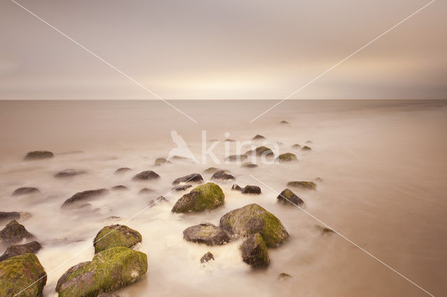 Waddensea