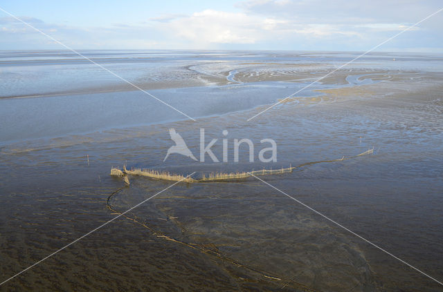 Westpolder