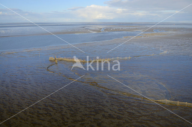 Westpolder