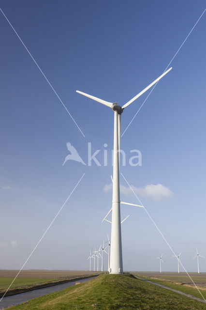 Windfarm