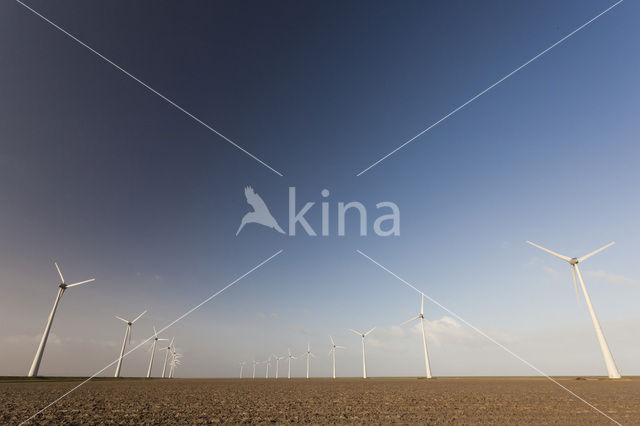 Windfarm