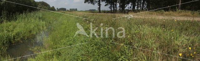 De Mortelen en Heerenbeek