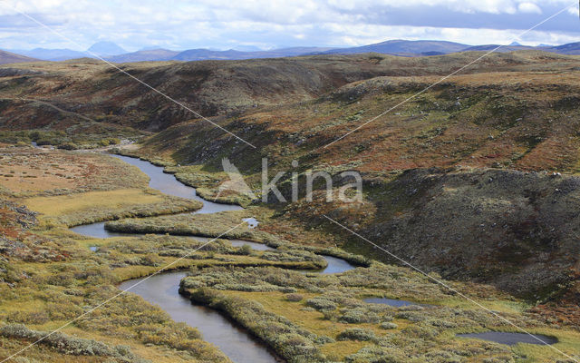 Dovrefjell National Park