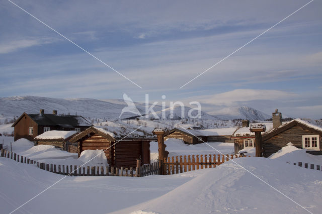 Dovrefjell National Park