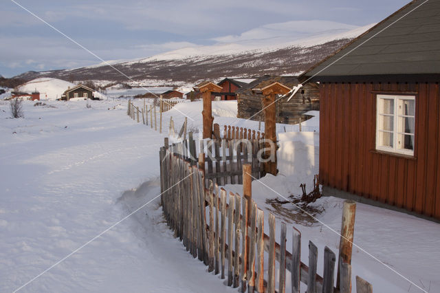 Dovrefjell National Park