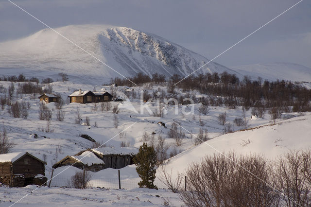 Dovrefjell National Park