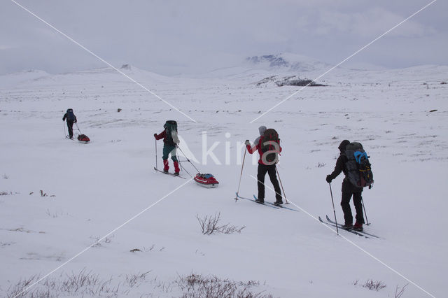 Dovrefjell National Park