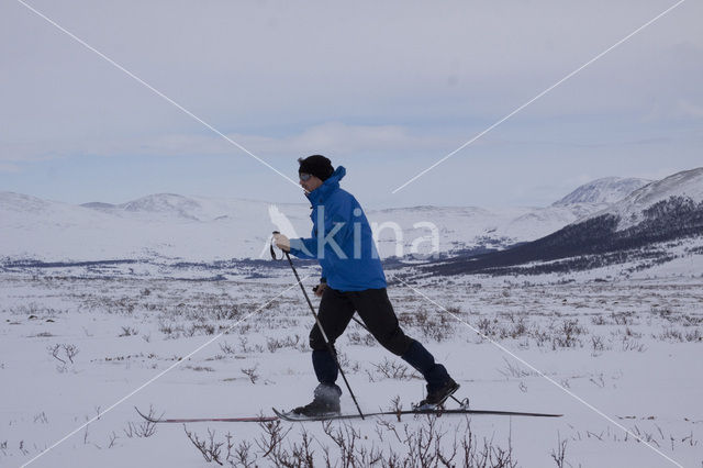 Dovrefjell National Park