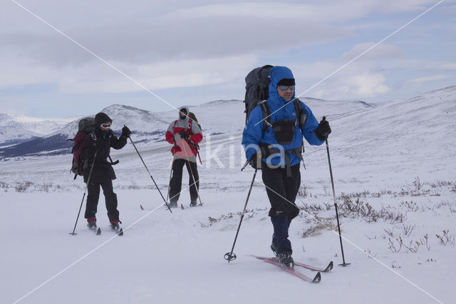 Dovrefjell National Park