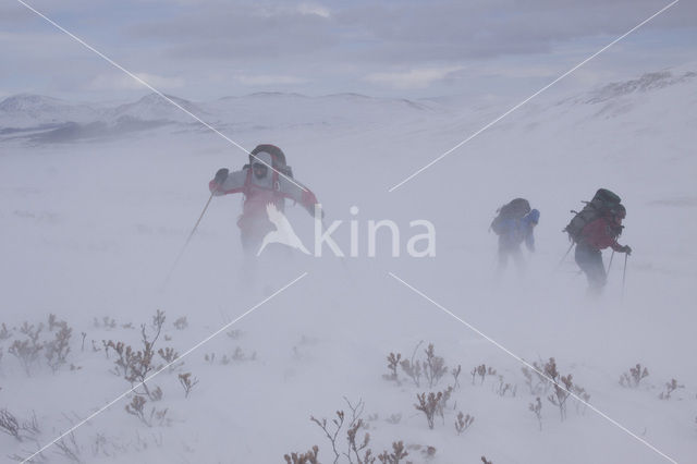 Dovrefjell National Park