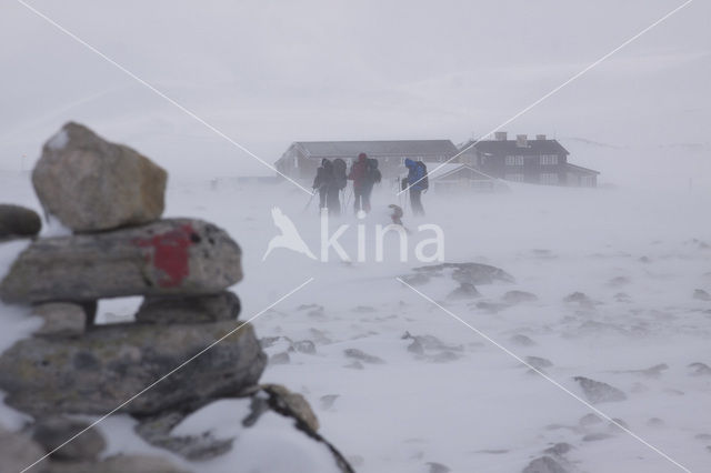 Dovrefjell National Park