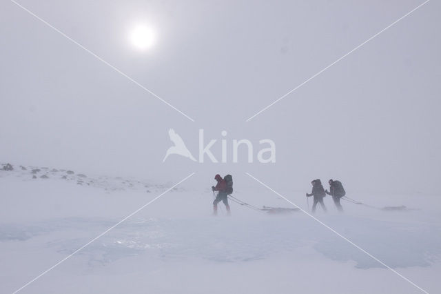 Dovrefjell National Park