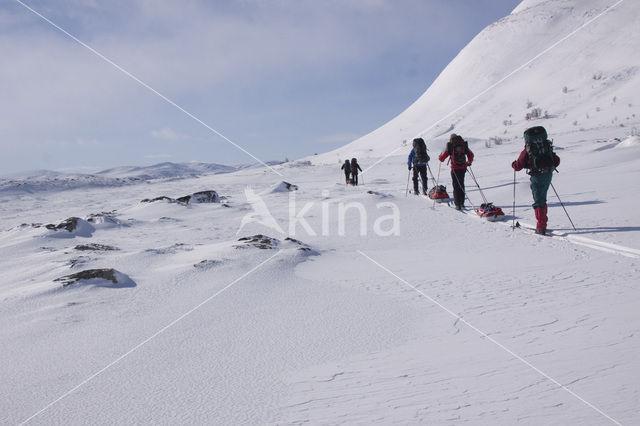 Dovrefjell National Park