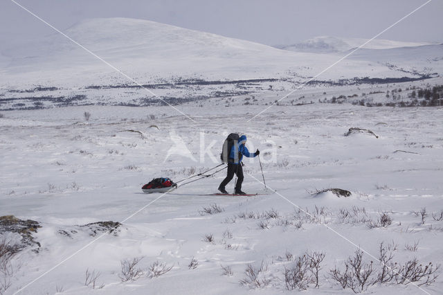 Dovrefjell National Park