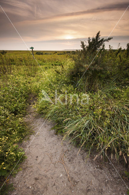 Duinen van Voorne