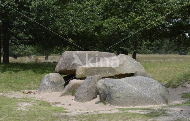 Gasterse Duinen