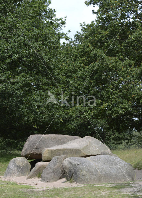 Gasterse Duinen