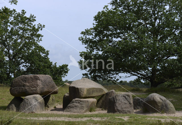 Gasterse Duinen