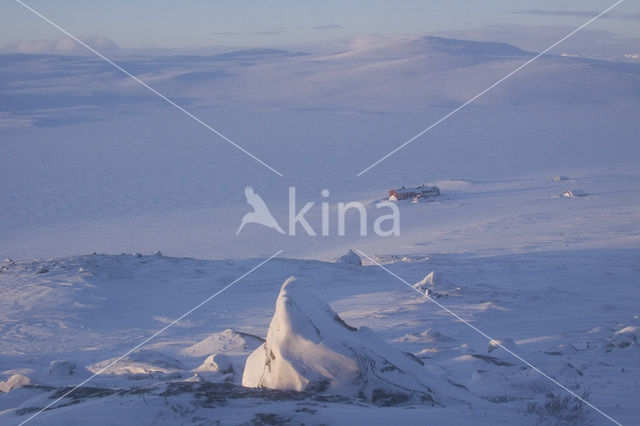 Hardangervidda National Park