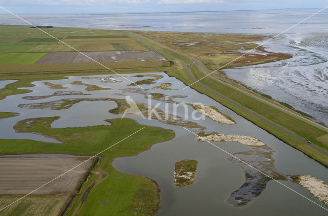 Lage Land van Texel