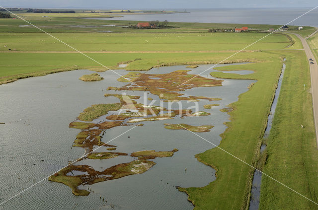 Lage land van Texel