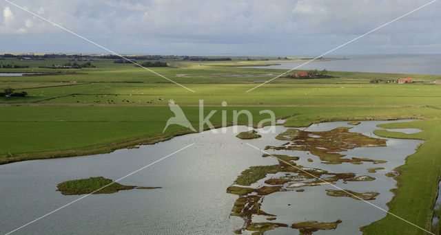 Lage land van Texel