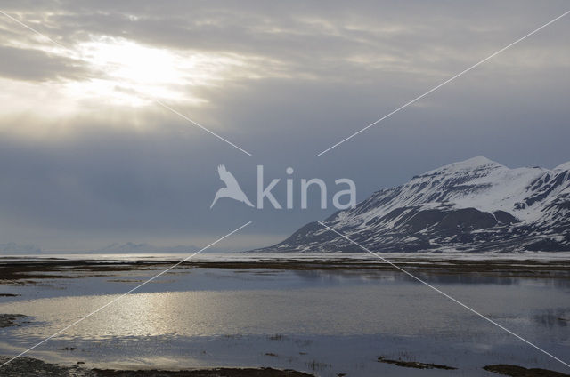 Longyearbyen