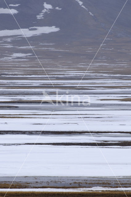 Longyearbyen