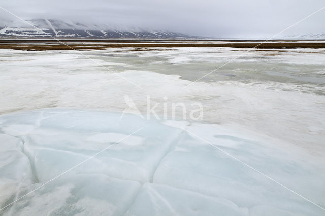 Longyearbyen