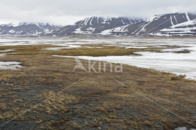 Longyearbyen