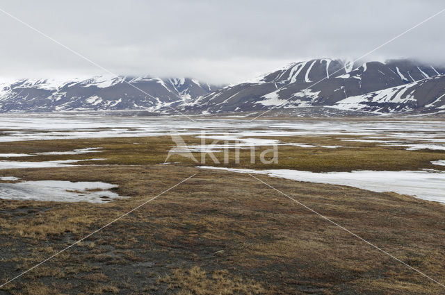 Longyearbyen