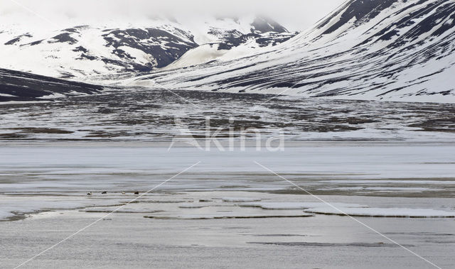 Longyearbyen