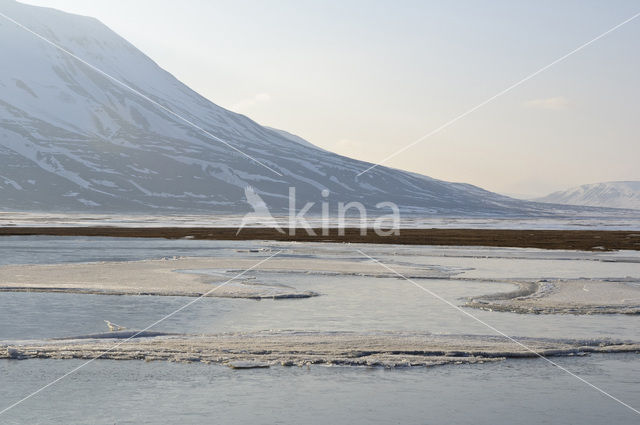 Longyearbyen