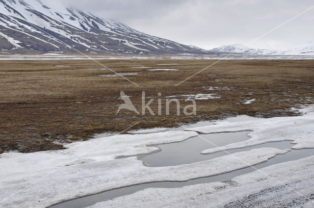 Longyearbyen