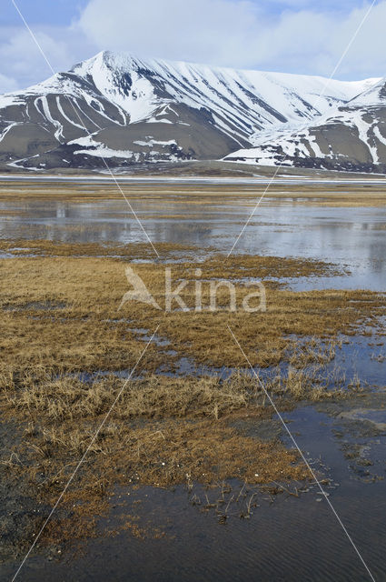 Longyearbyen