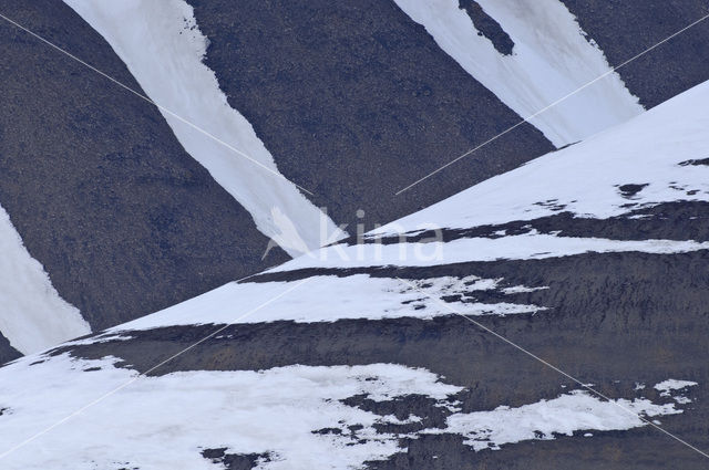 Longyearbyen