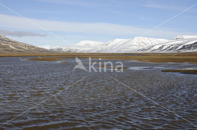 Longyearbyen