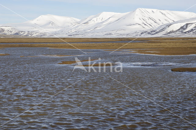 Longyearbyen