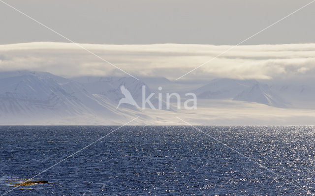 Longyearbyen
