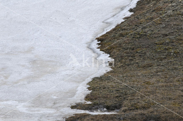 Longyearbyen