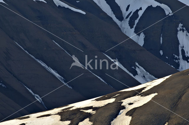 Longyearbyen